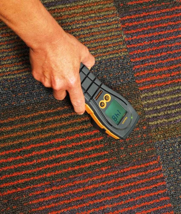 Protimeter Aquant moisture measurement on carpet